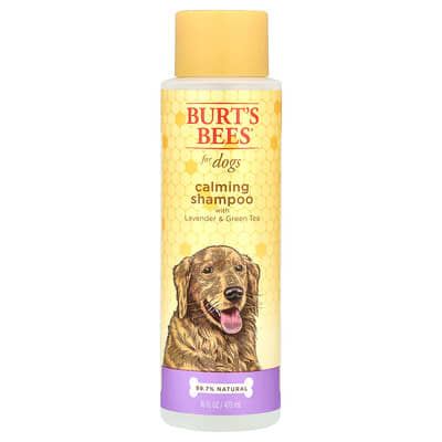 Calming Shampoo For Dogs with Lavender & Green Tea, 16 fl oz (473 ml)