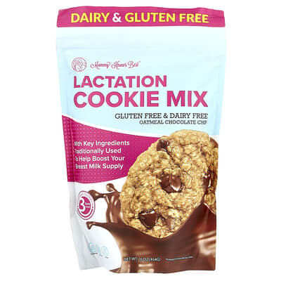 Lactation Cookie Mix , Oatmeal Chocolate Chip, 16 oz (454 g)