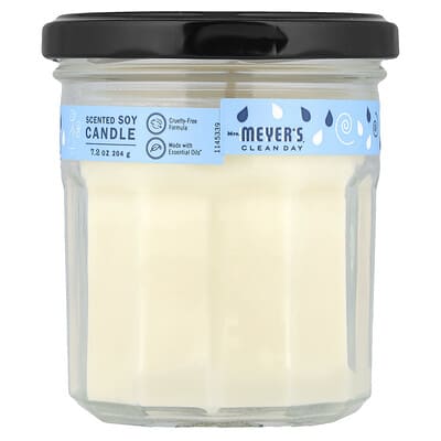 Scented Soy Candle, Rain Water, 7.2 oz (204 g)