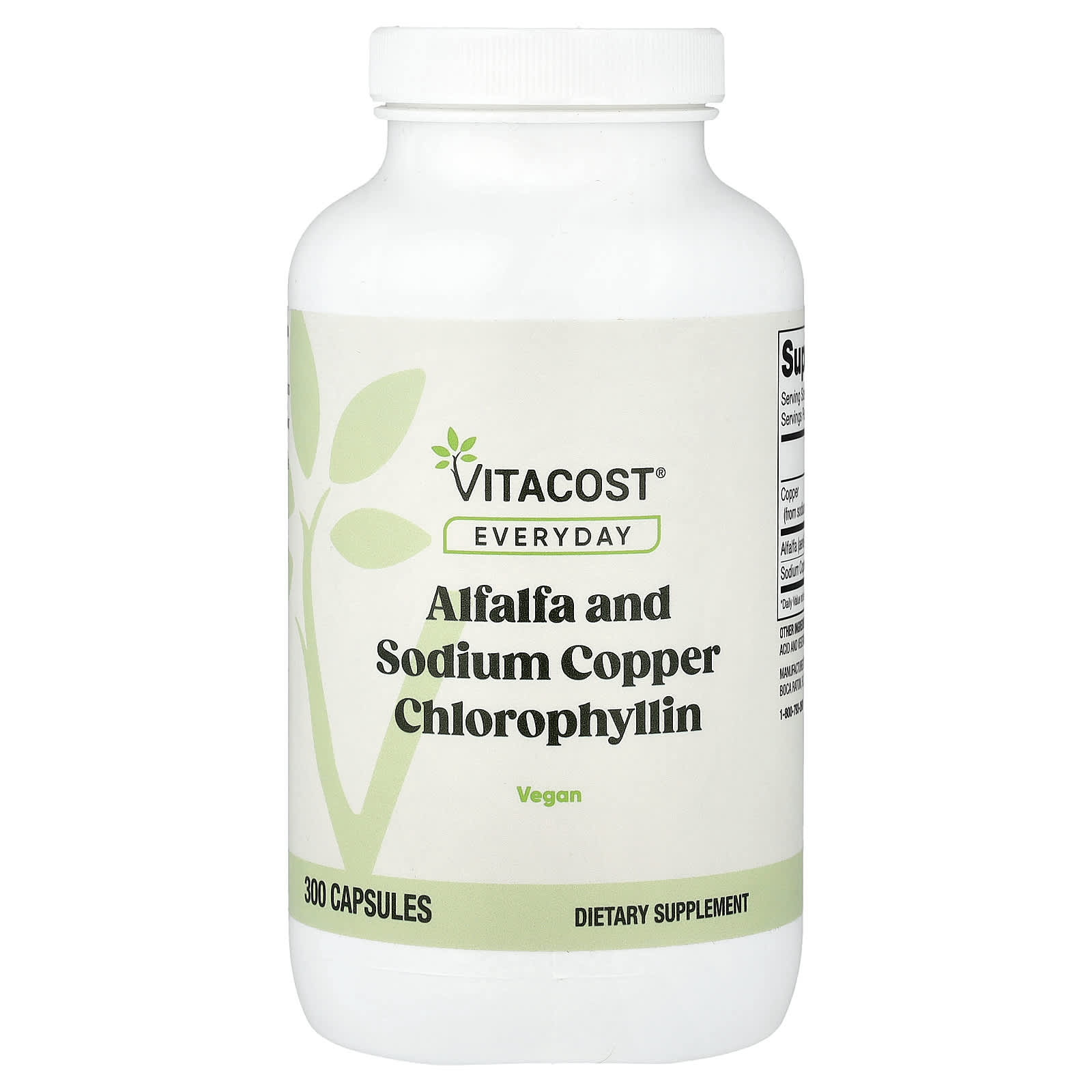 Everyday, Alfalfa and Sodium Copper Chlorophyllin, 300 Capsules