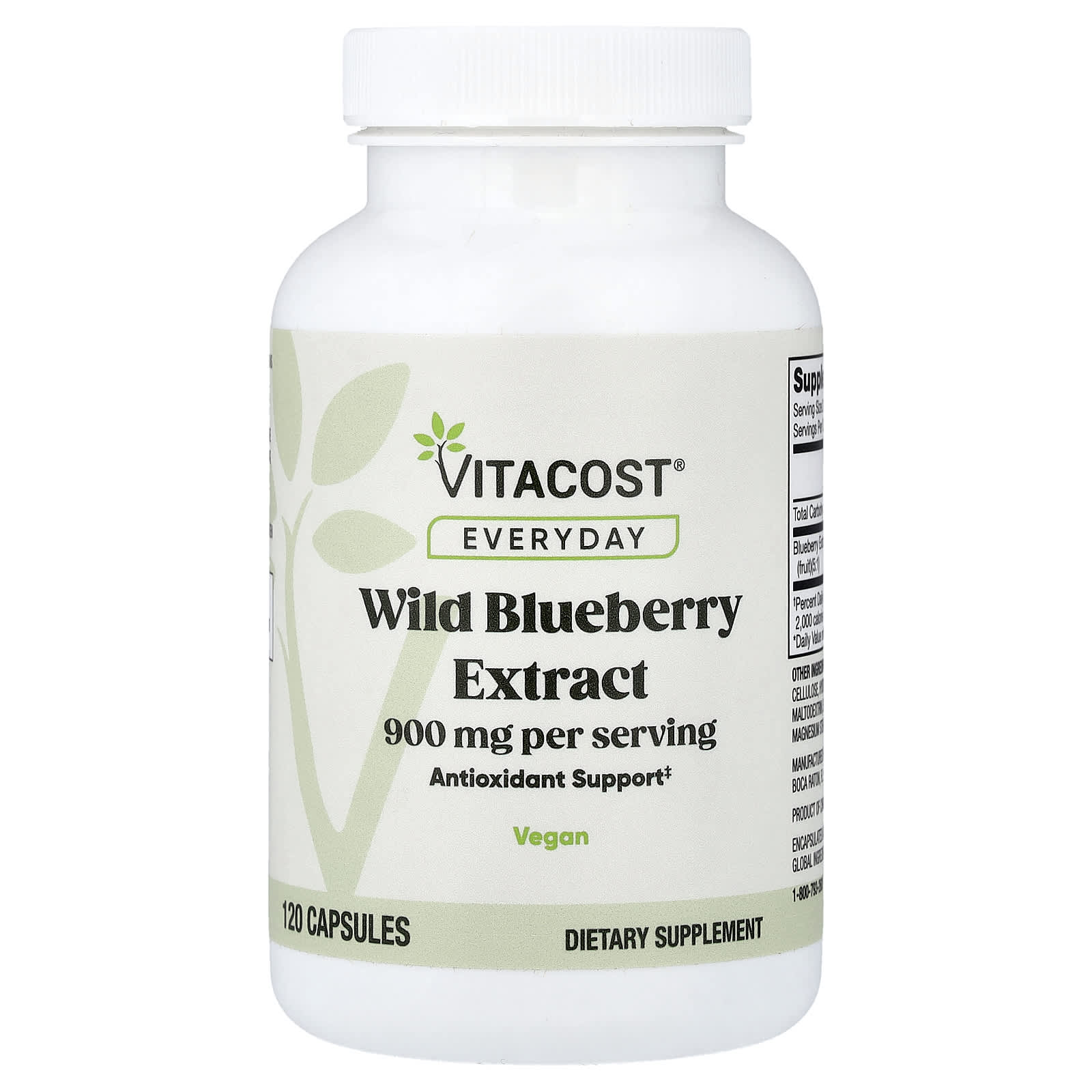 Everyday, Wild Blueberry Extract, 120 Capsules (450 mg per Capsule)