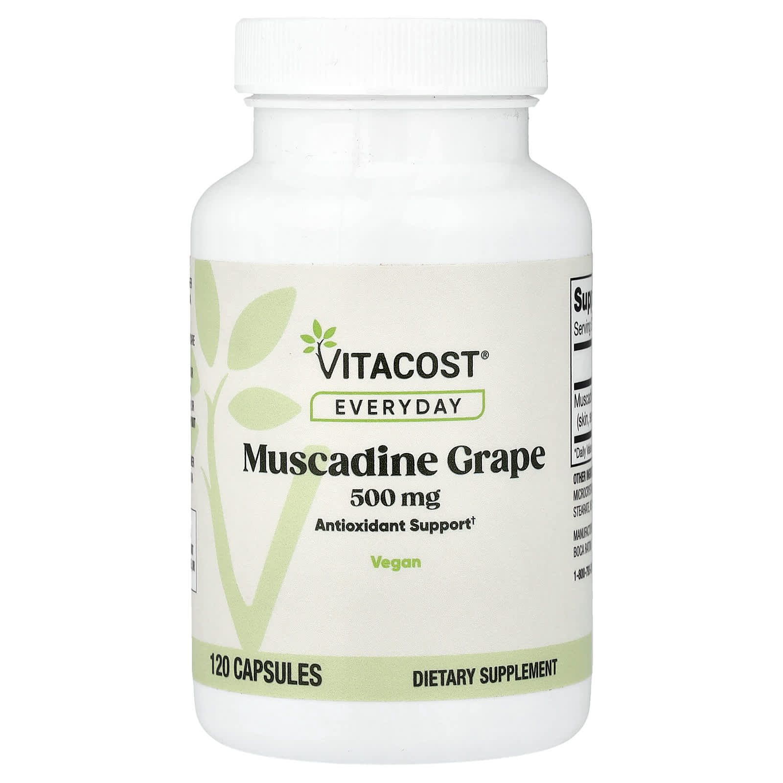 Everyday, Muscadine Grape, 500 mg, 120 Capsules