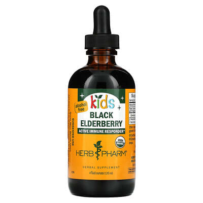 Kids, Black Elderberry, Alcohol Free, 4 fl oz (120 ml)