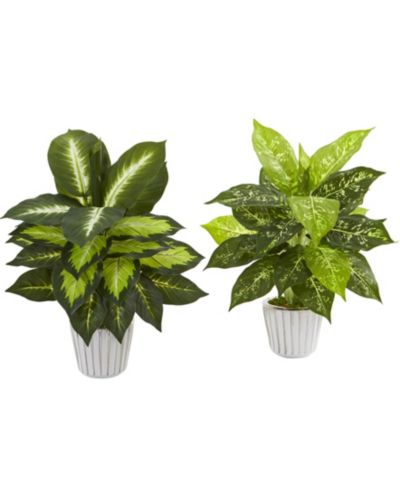 Искусственное растение Dieffenbachia Nearly Natural 19" в белой вазе, набор из 2 шт