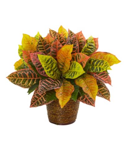 Nearly Natural искусственное растение Garden Croton в корзине, 17"