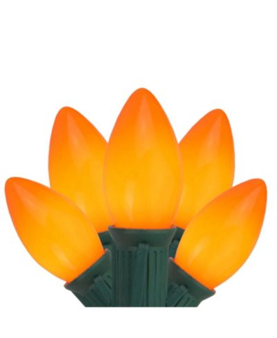 Northlight Set of 25 Opaque Orange C9 Christmas Lights - Green Wire