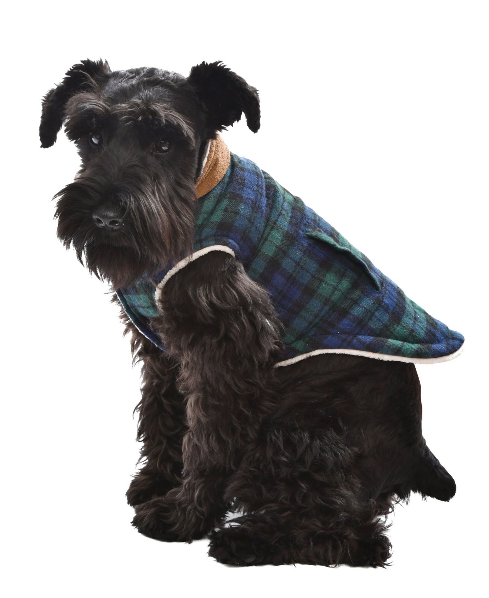 Parisian Pet Scottish Jacket Green Plaid