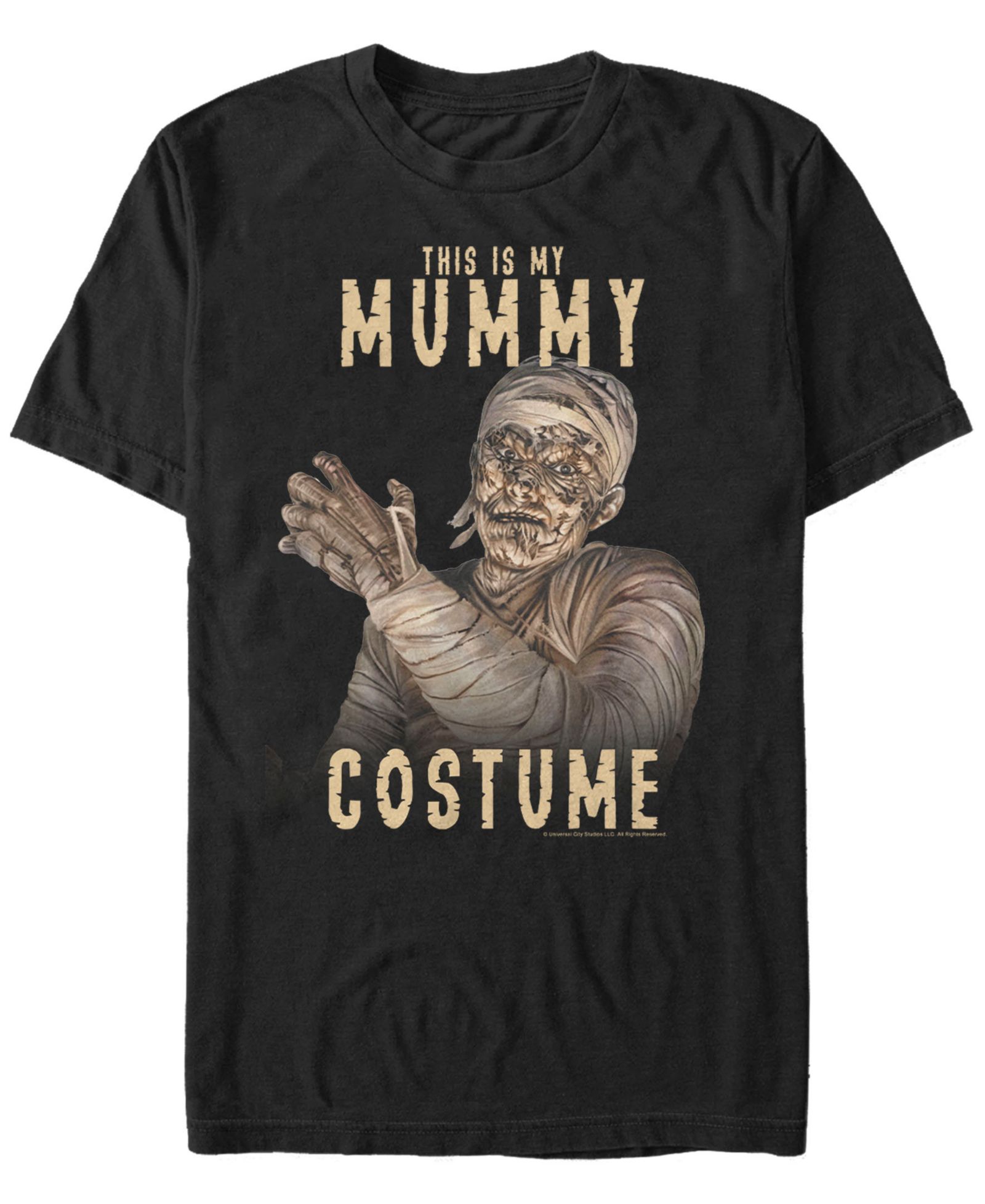 Мужская футболка Fifth Sun Universal Monsters Mummy