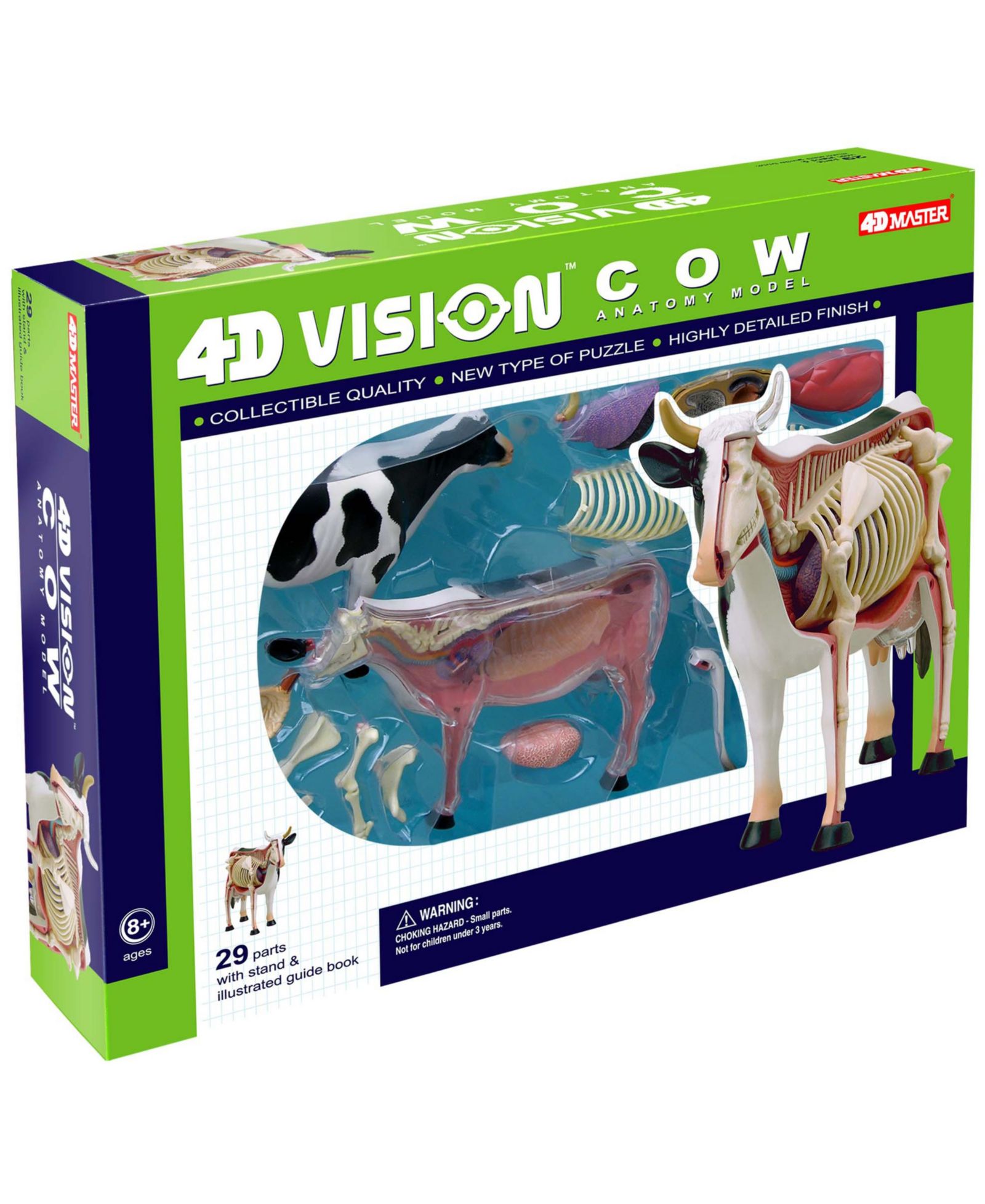 4D Master анатомическая модель скелета коровы 4D Vision