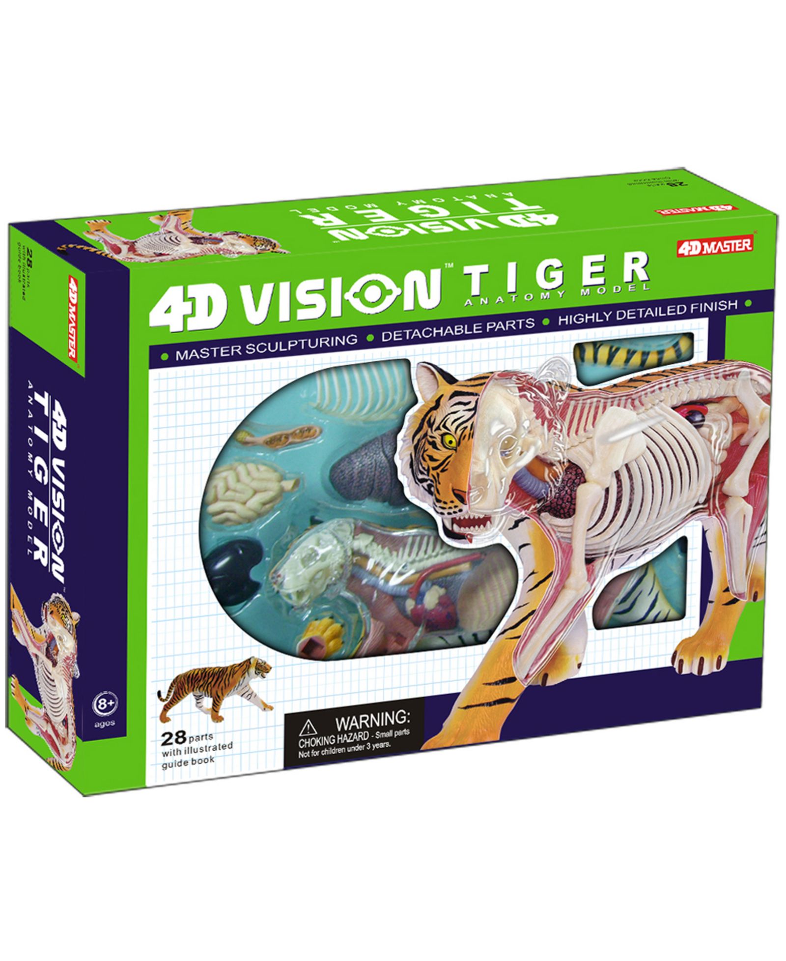 Анатомическая модель тигра 4D Master 4D Vision