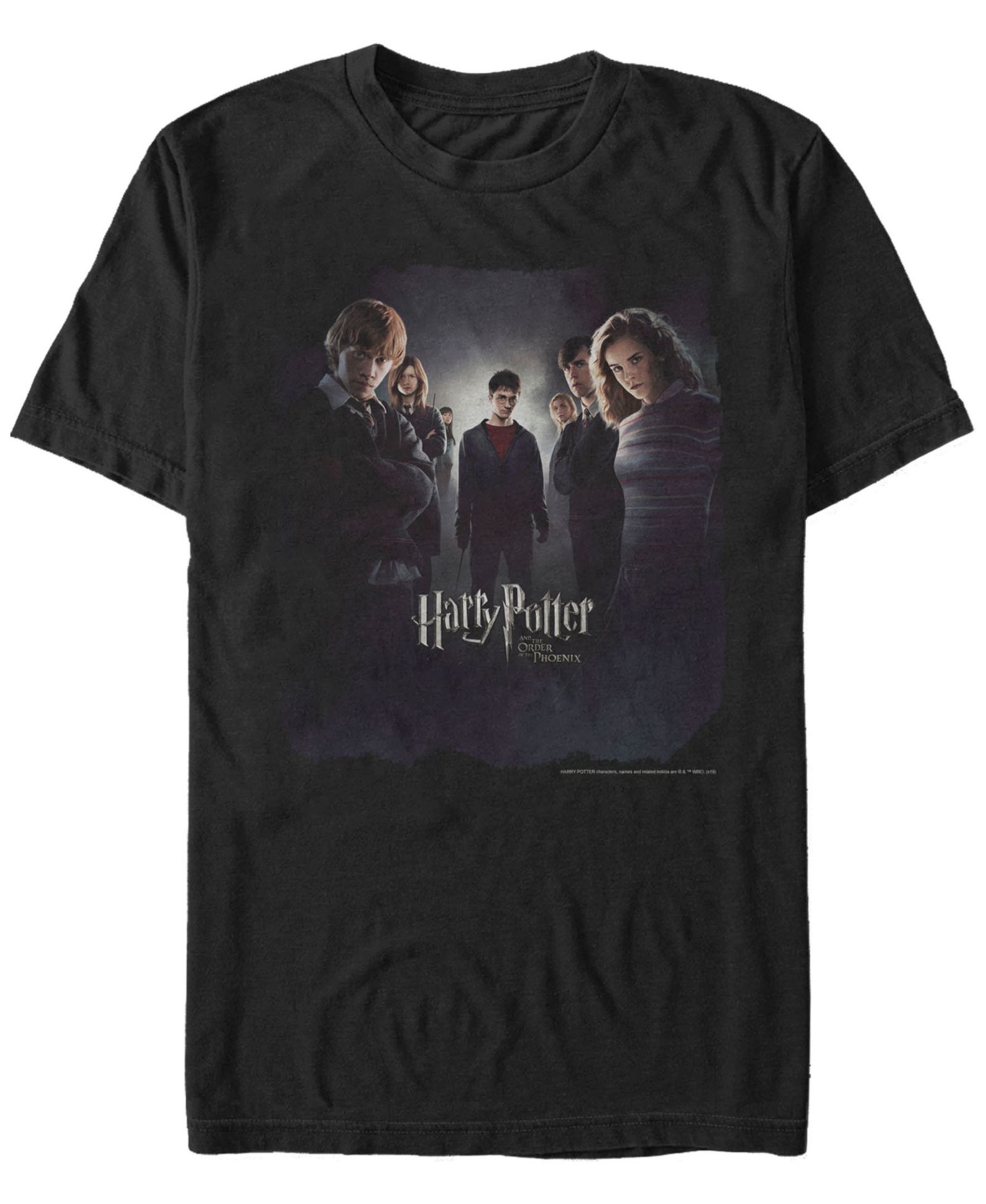 Fifth Sun Harry Potter Men's Order of The Phoenix Group Poster Short Sleeve T-Shirt