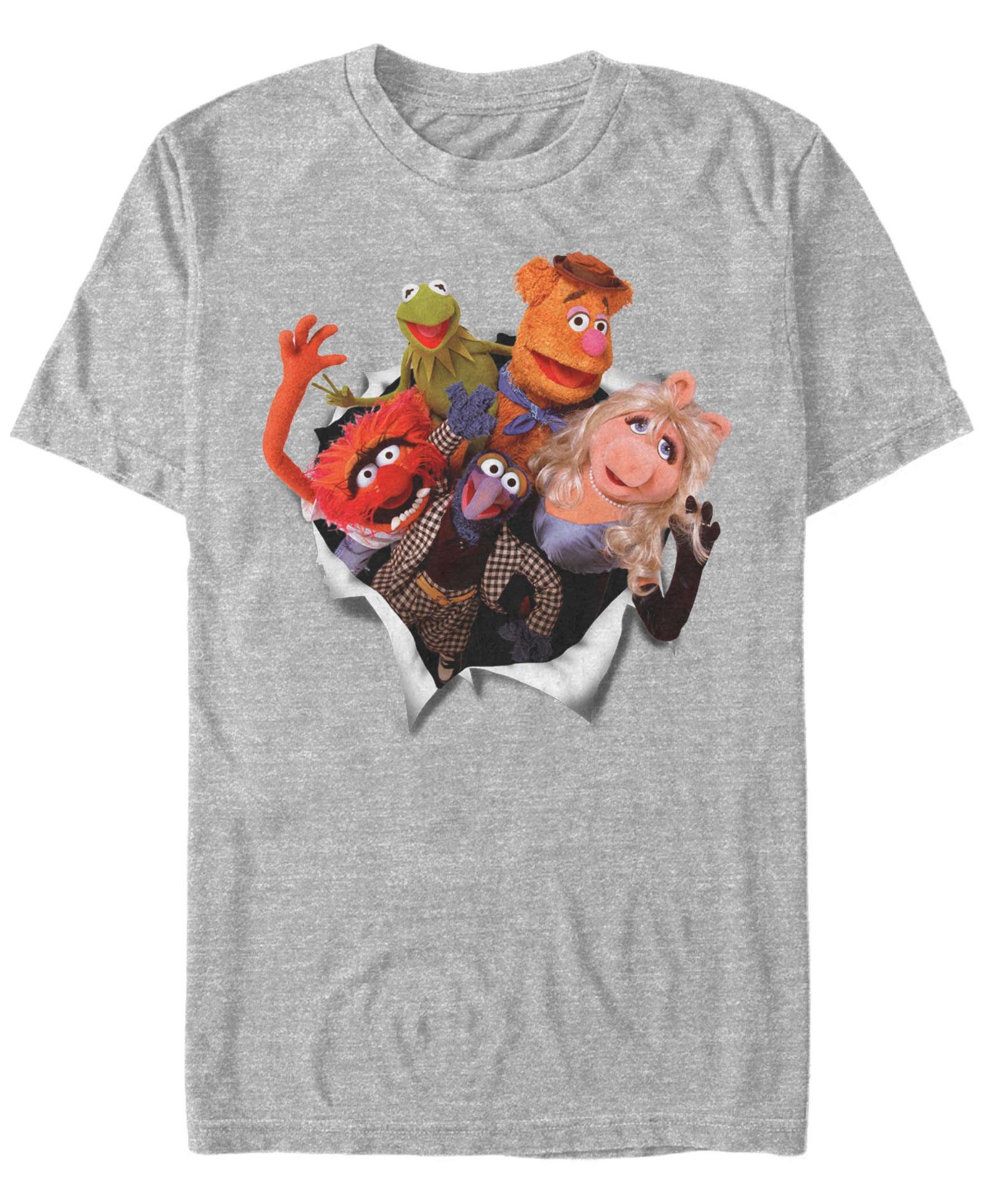 Мужская футболка Fifth Sun Muppet Breakout