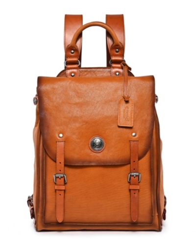 Chestnut