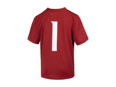Nike Washington State Cougars Big Boys and Girls Replica Football Game Jersey