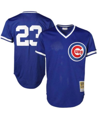 Мужская джерси Mitchell & Ness Ryne Sandberg Chicago Cubs Authentic Collection