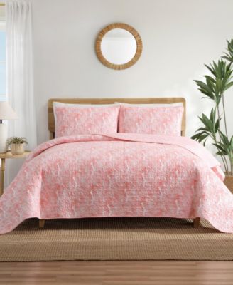 Bright Coral