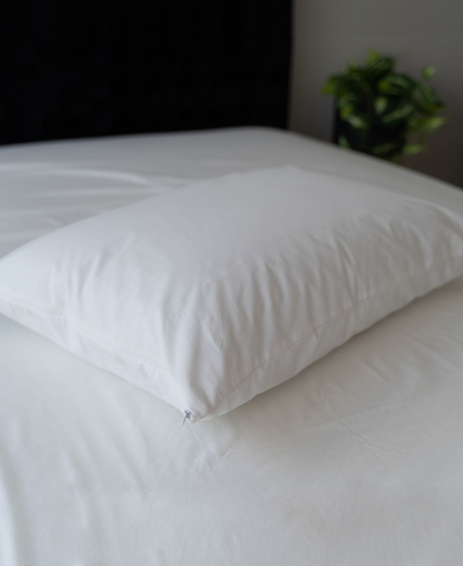 Sealy All Night Cooling Zippered Pillow Protector, King