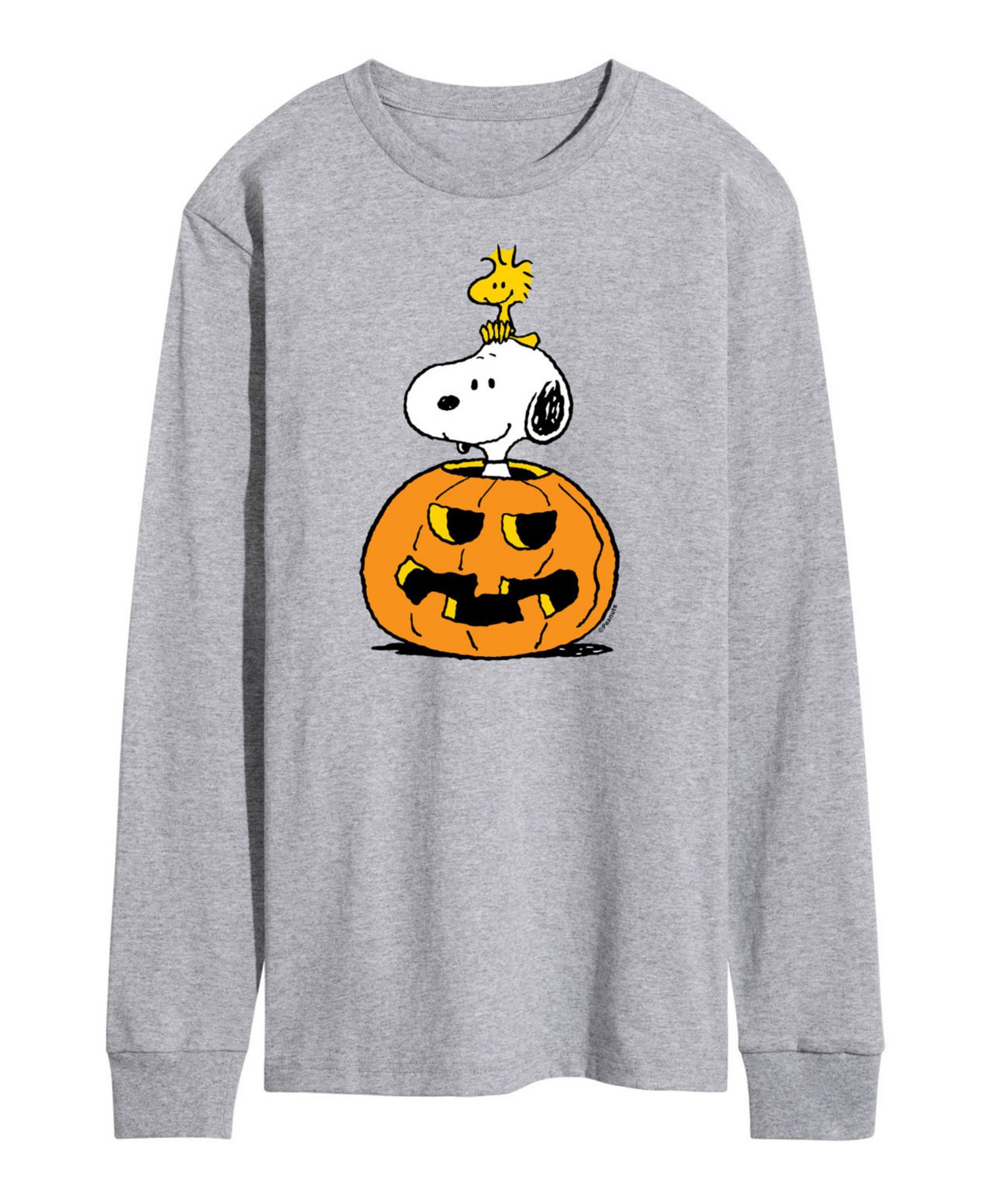 AIRWAVES Men's Peanuts Snoopy Pumpkin T-shirt