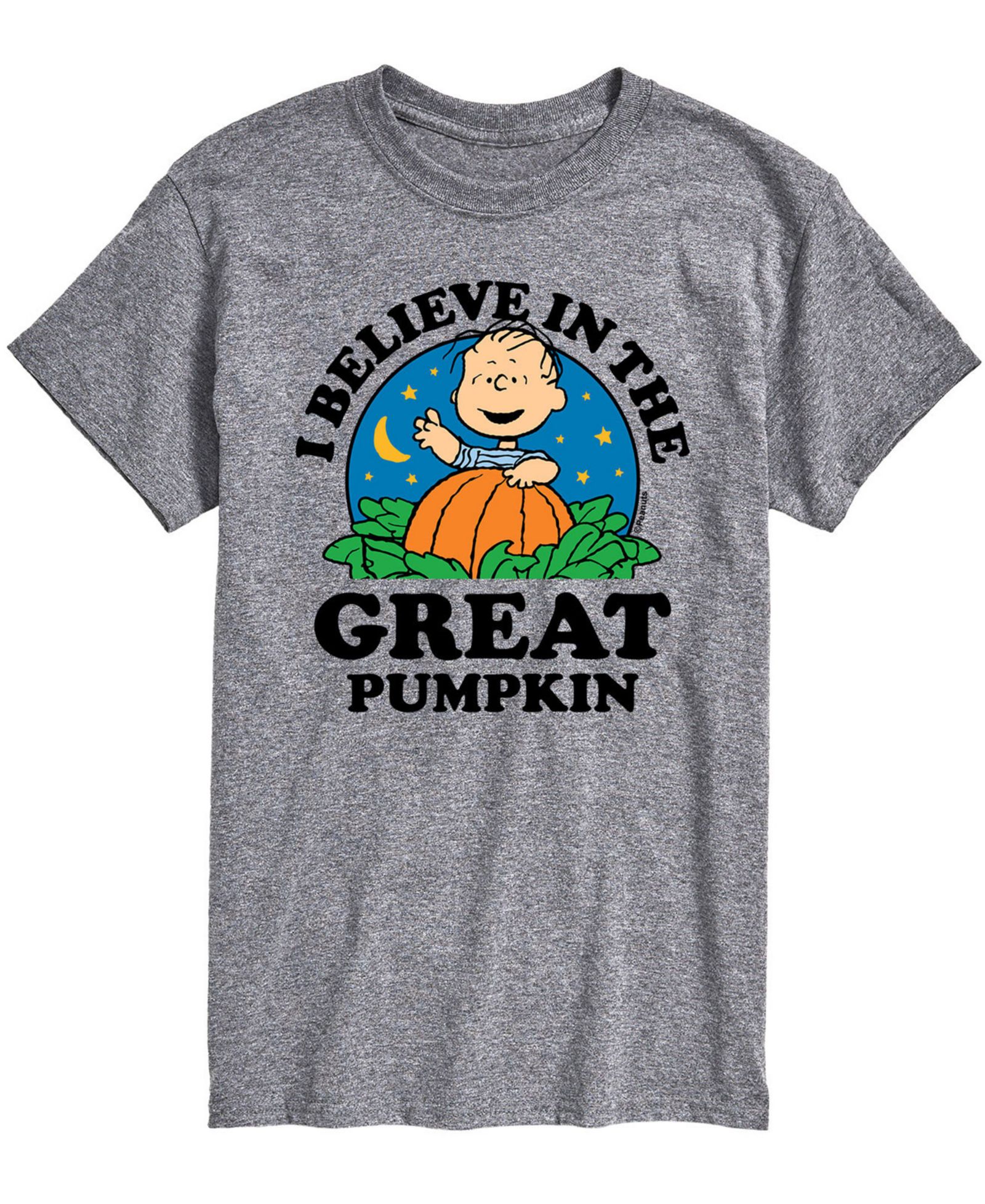 Мужская футболка AIRWAVES Peanuts Great Pumpkin