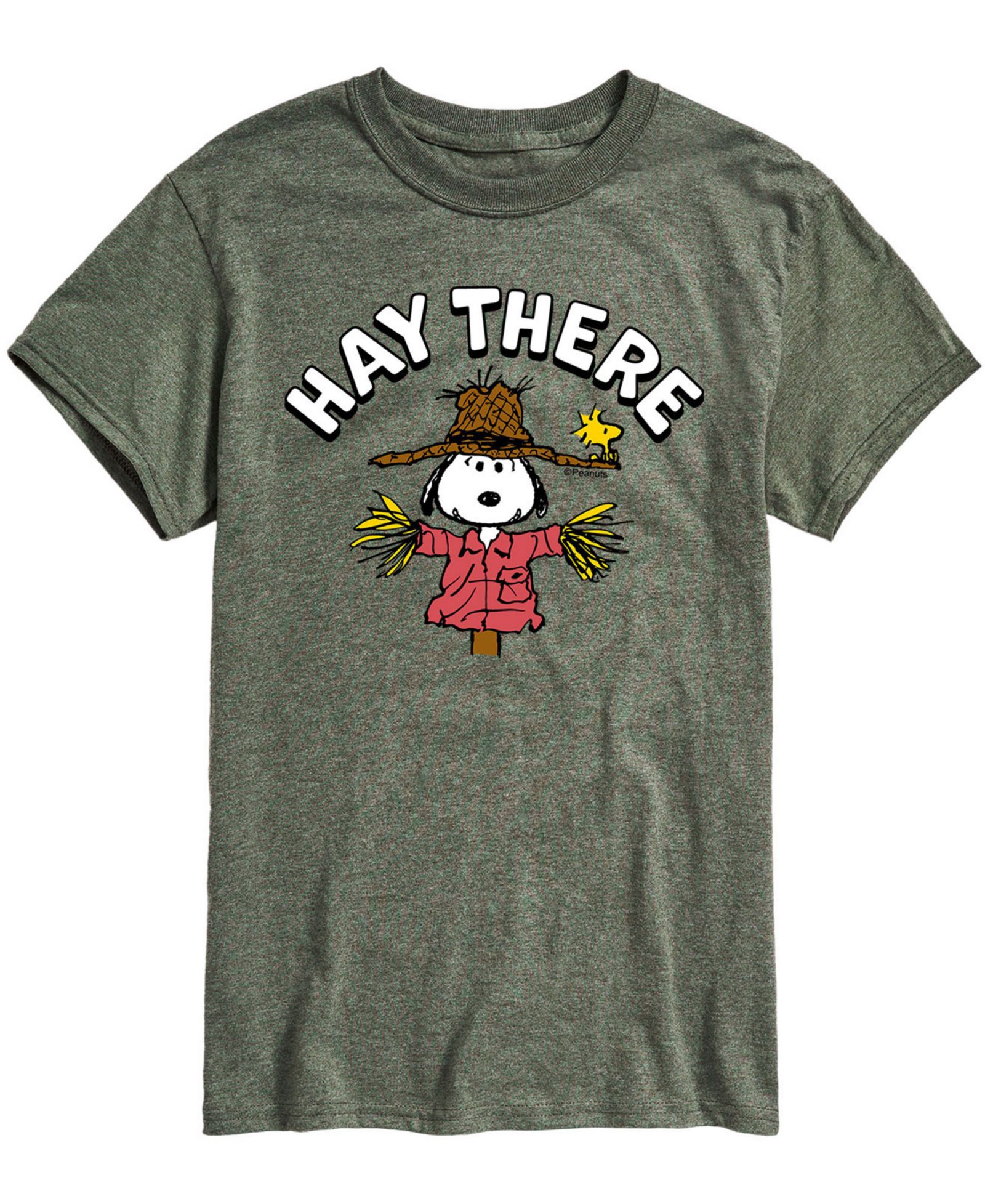 Футболка AIRWAVES Men's Peanuts Hay There