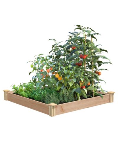 Greenes Fence CO 4 ft x 4 ft x 5.5 ft Raised Kit Garden