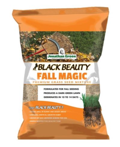 Jonathan Green Семена травы Black Beauty, 7lb