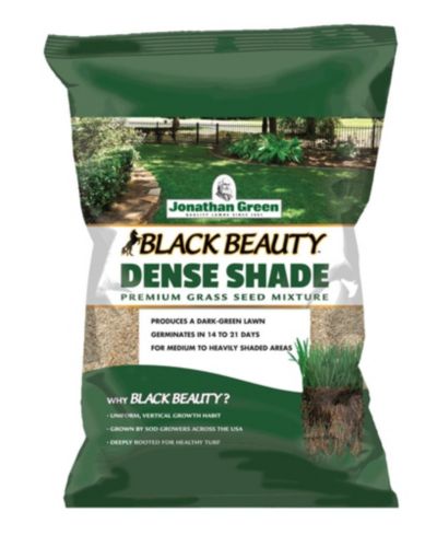 Смесь семян травы Jonathan Green Black Beauty Dense Shade, упаковка 7lb