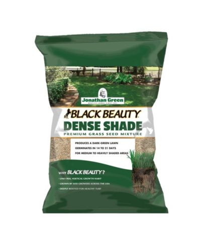 Jonathan Green смесь семян травы Black Beauty, 1lb