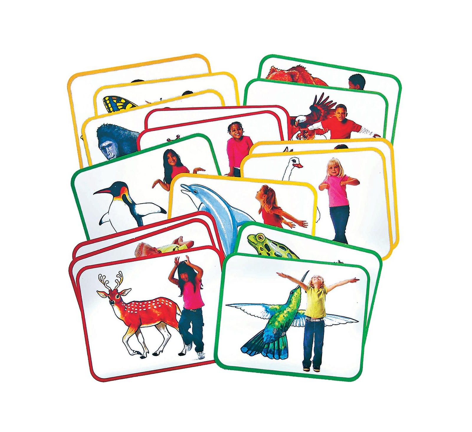 Карточная игра Roylco Body Poetry Animal, 16 предметов, 4+