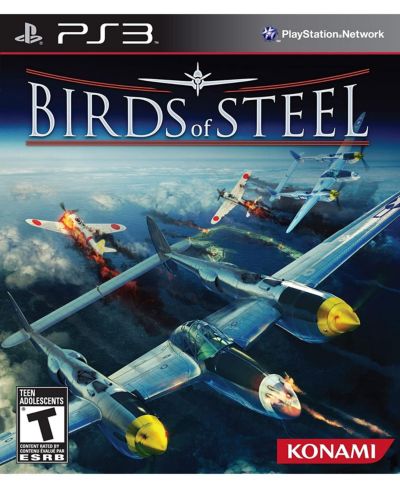 Birds of Steel WW2 PlayStation 3