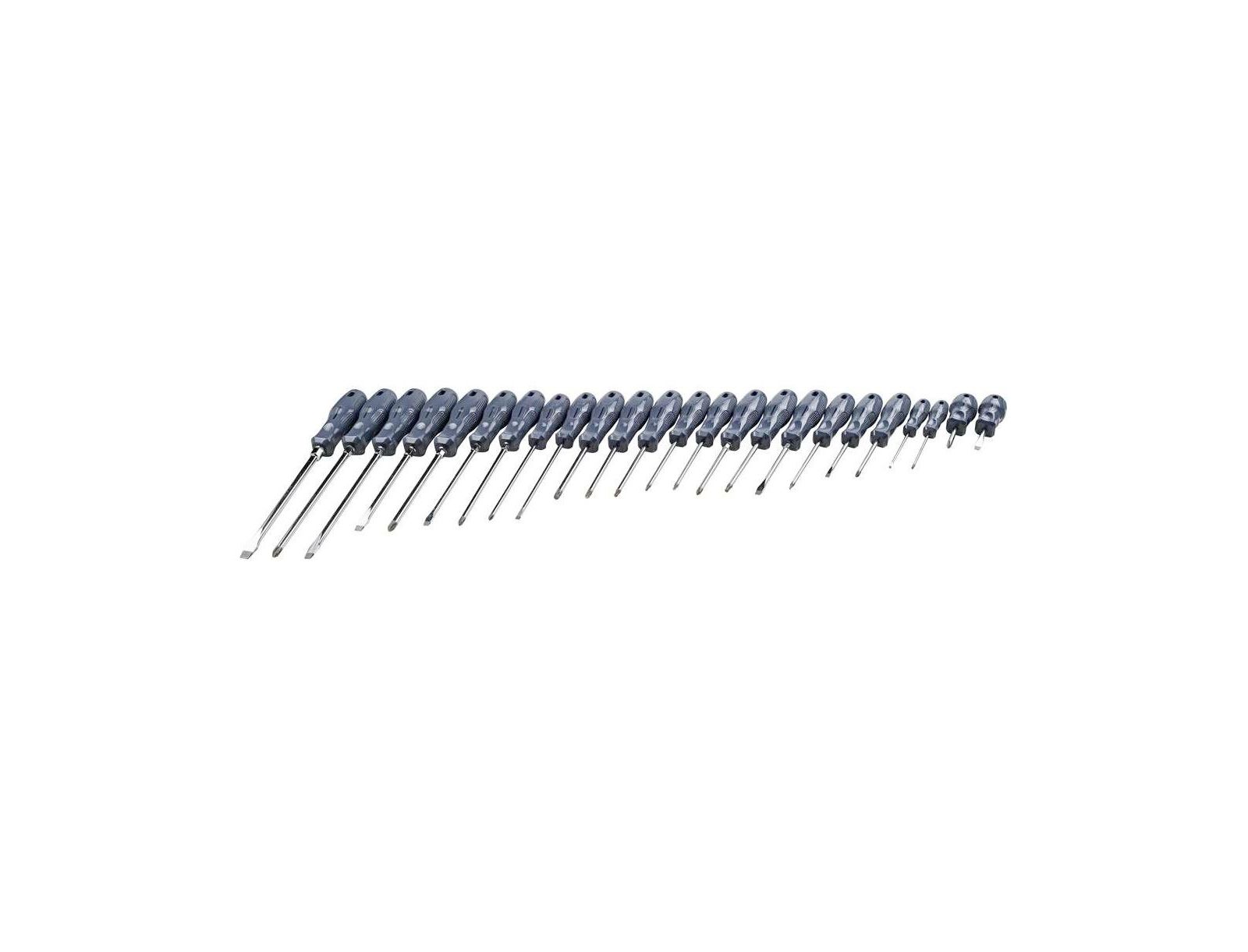 24 Piece Pro Tech Acetate Screwdriver Set