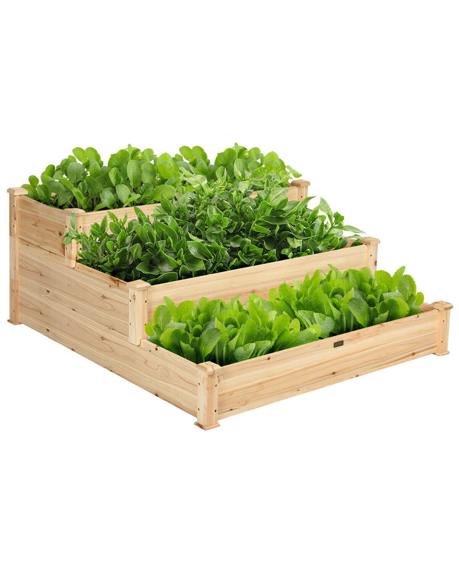 3 Tier Wooden Raised Vegetable Garden Bed Elevated Planter Kit