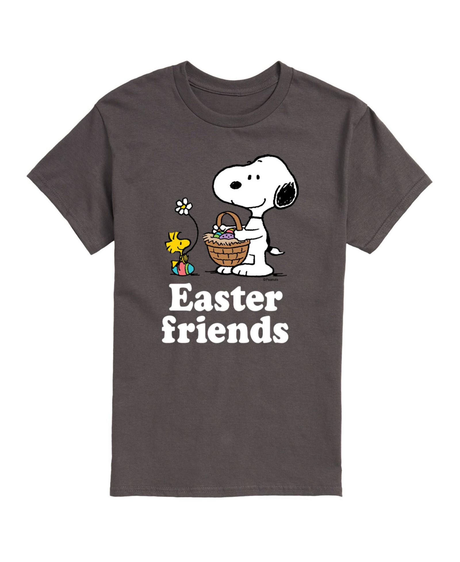 AIRWAVES Мужская футболка Peanuts Easter Eggs