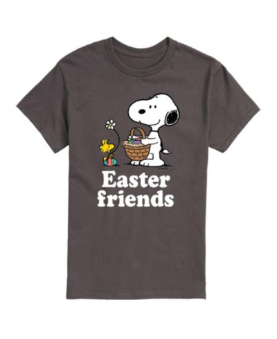 Мужская футболка AIRWAVES Peanuts Easter Friends