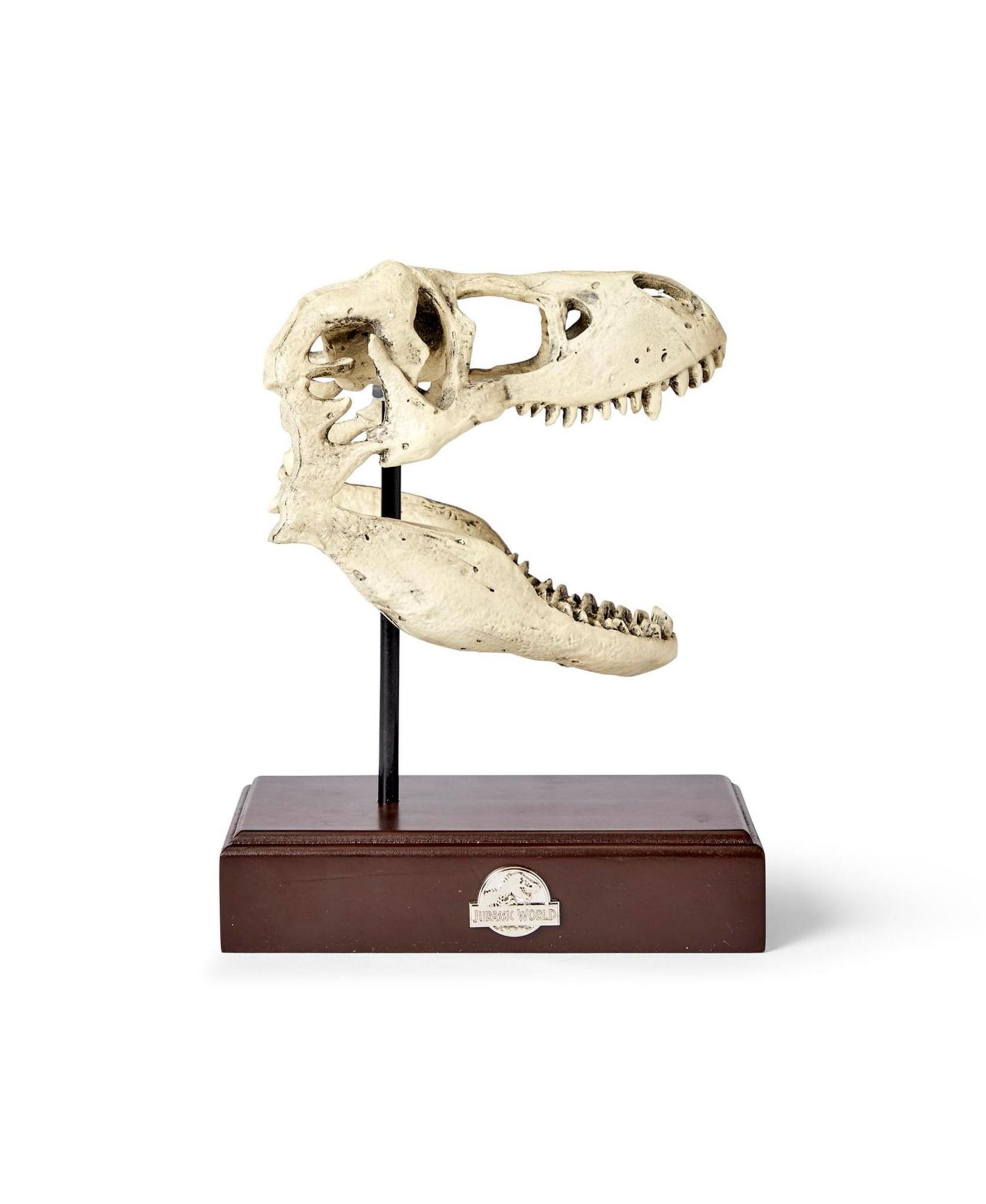 Surreal Entertainment реплика черепа тираннозавра рекса из Jurassic World, 9"