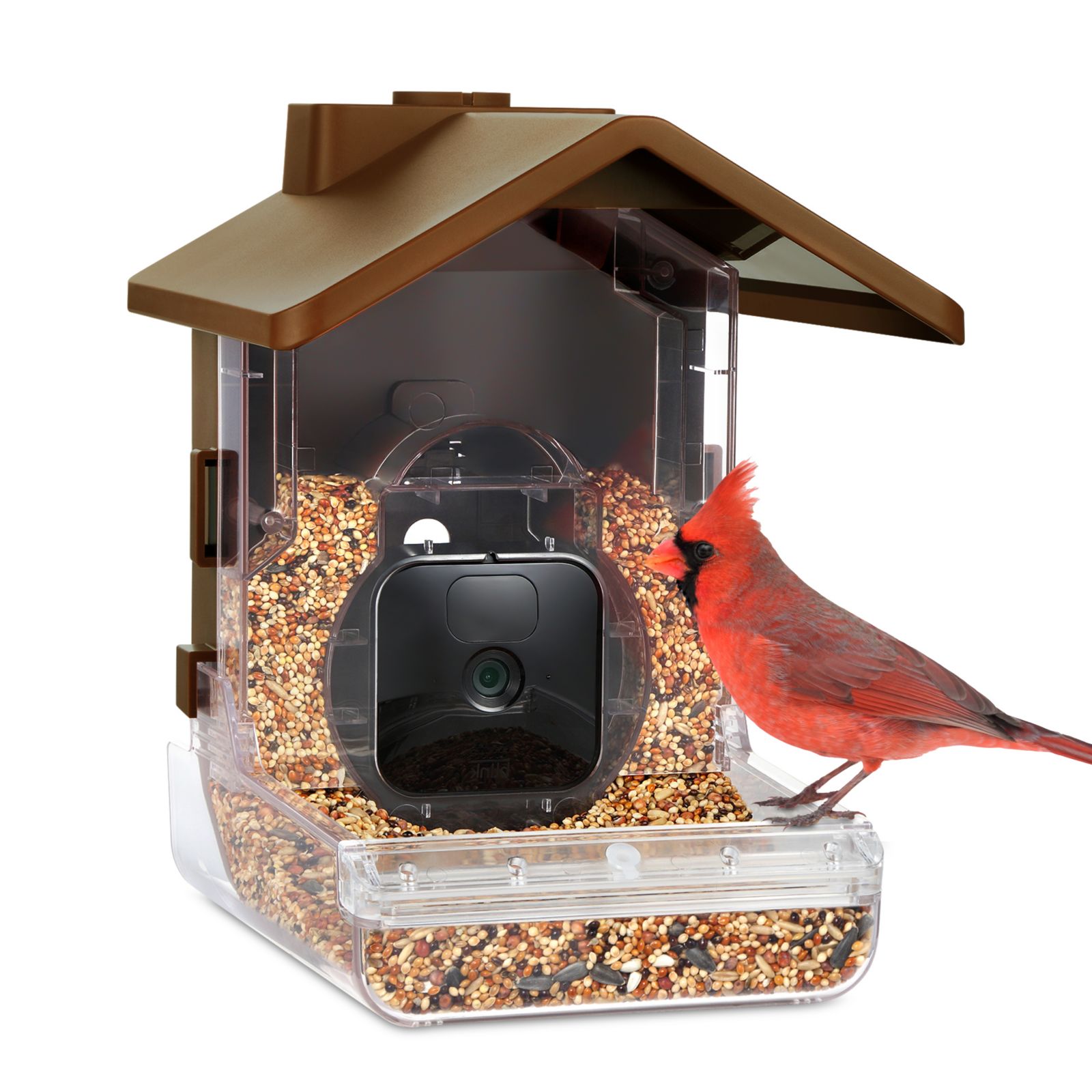 Wasserstein Weatherproof Bird Feeder Camera Case Compatible with Ring, Blink, and Wyze