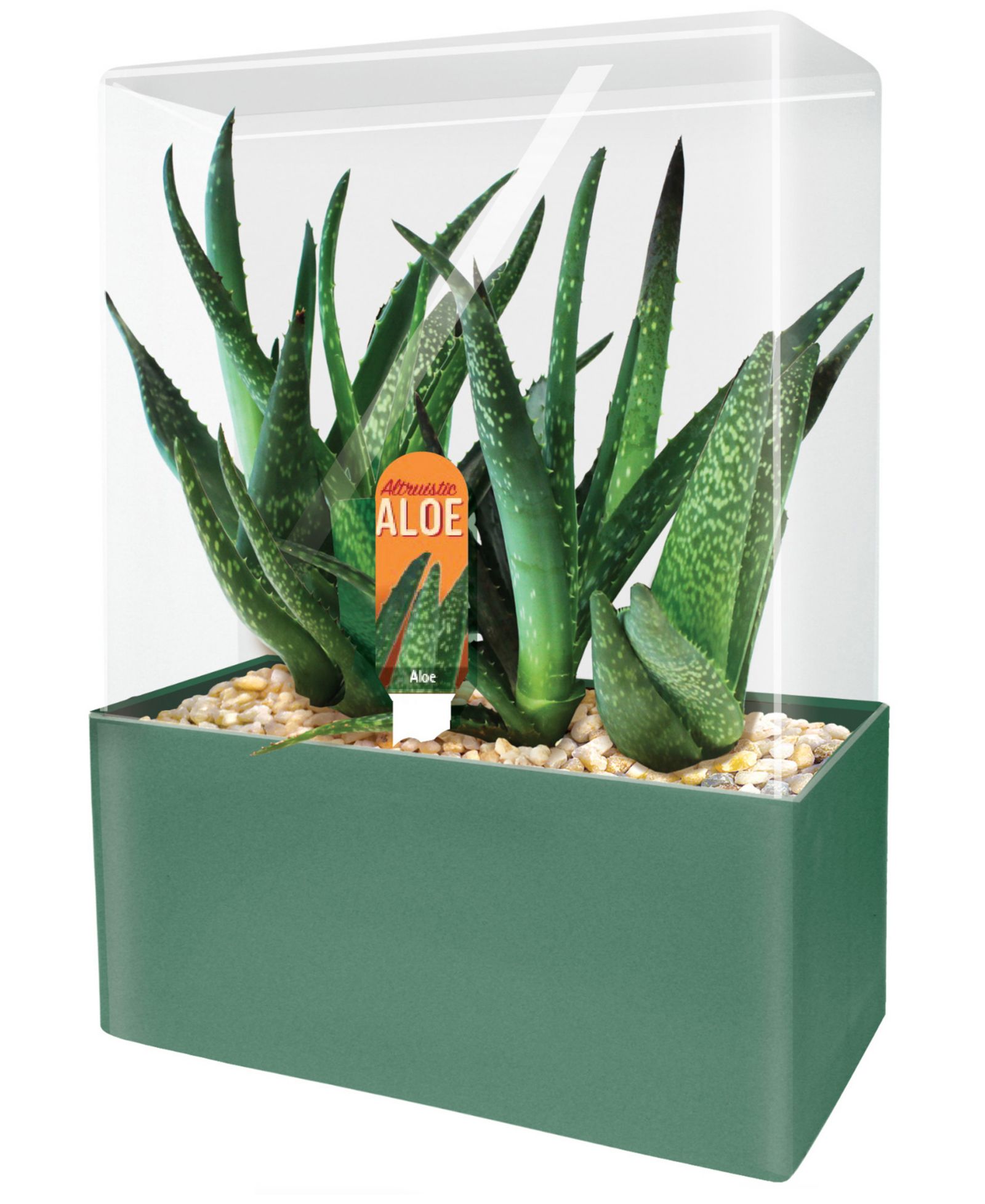 Набор для выращивания растений Unique Gardener Seed Squares Altruistic Aloe Plant Kit