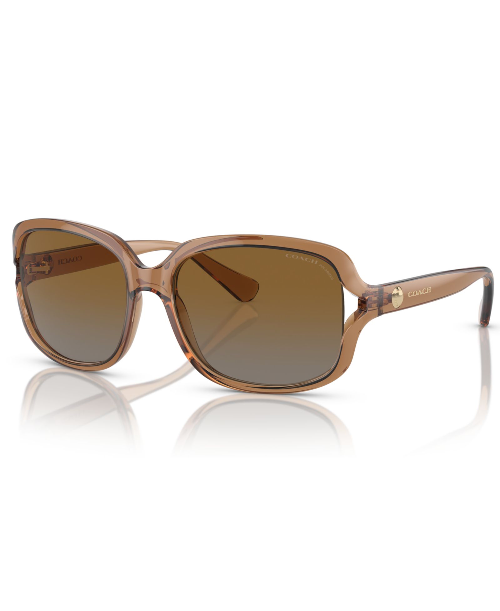 Coach Women's Polarized Sunglasses, HC8169