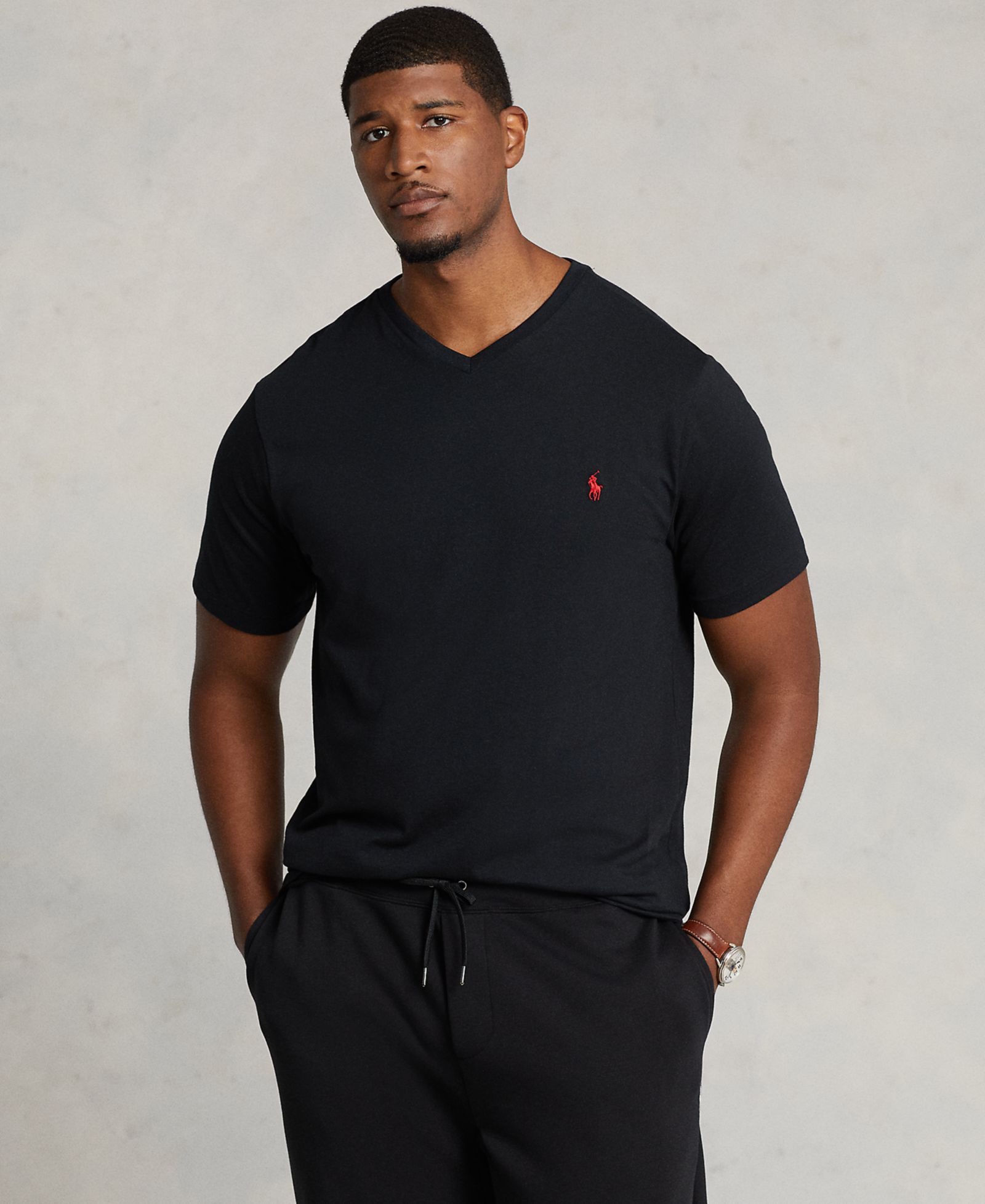Polo Ralph Lauren Men's Big & Tall V-Neck T-Shirt