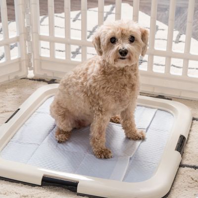 IRIS Pee Pad Holder, Fits 23"x23" Larger, Square, Puppy Dog Pad Hoder, SecuredNon-Skid Rubber Feet