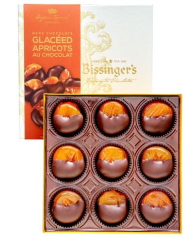 Dark Chocolate Glaceed Apricots, 9 Piece