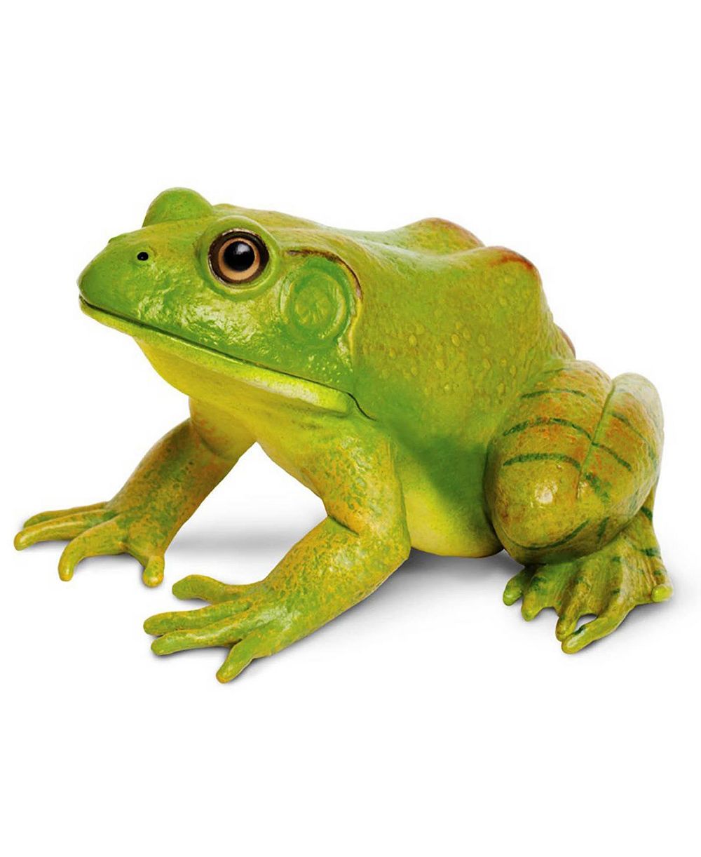 Фигурка Safari Ltd American Bullfrog Incredible Creatures