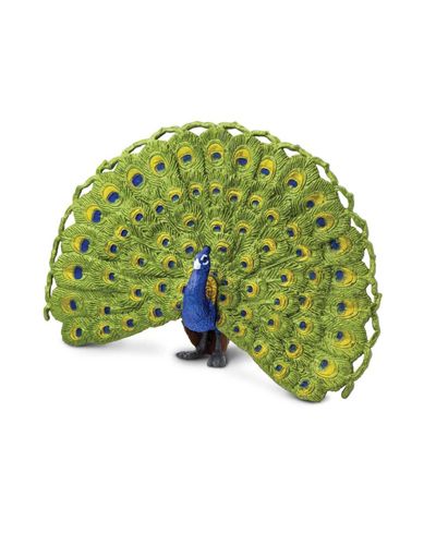 Safari Ltd Peacock Wings Of The World Figurine, Ages 3+