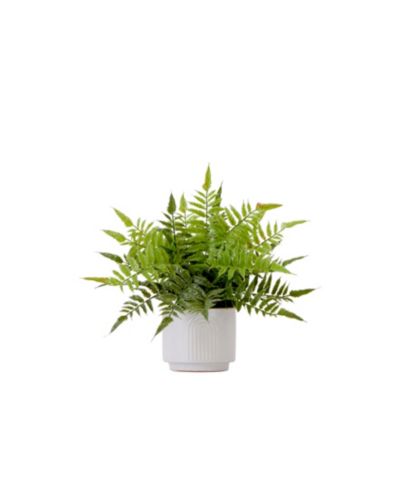 Nearly Natural 13" Artificial Boston Fern Plant with Decorative Planter