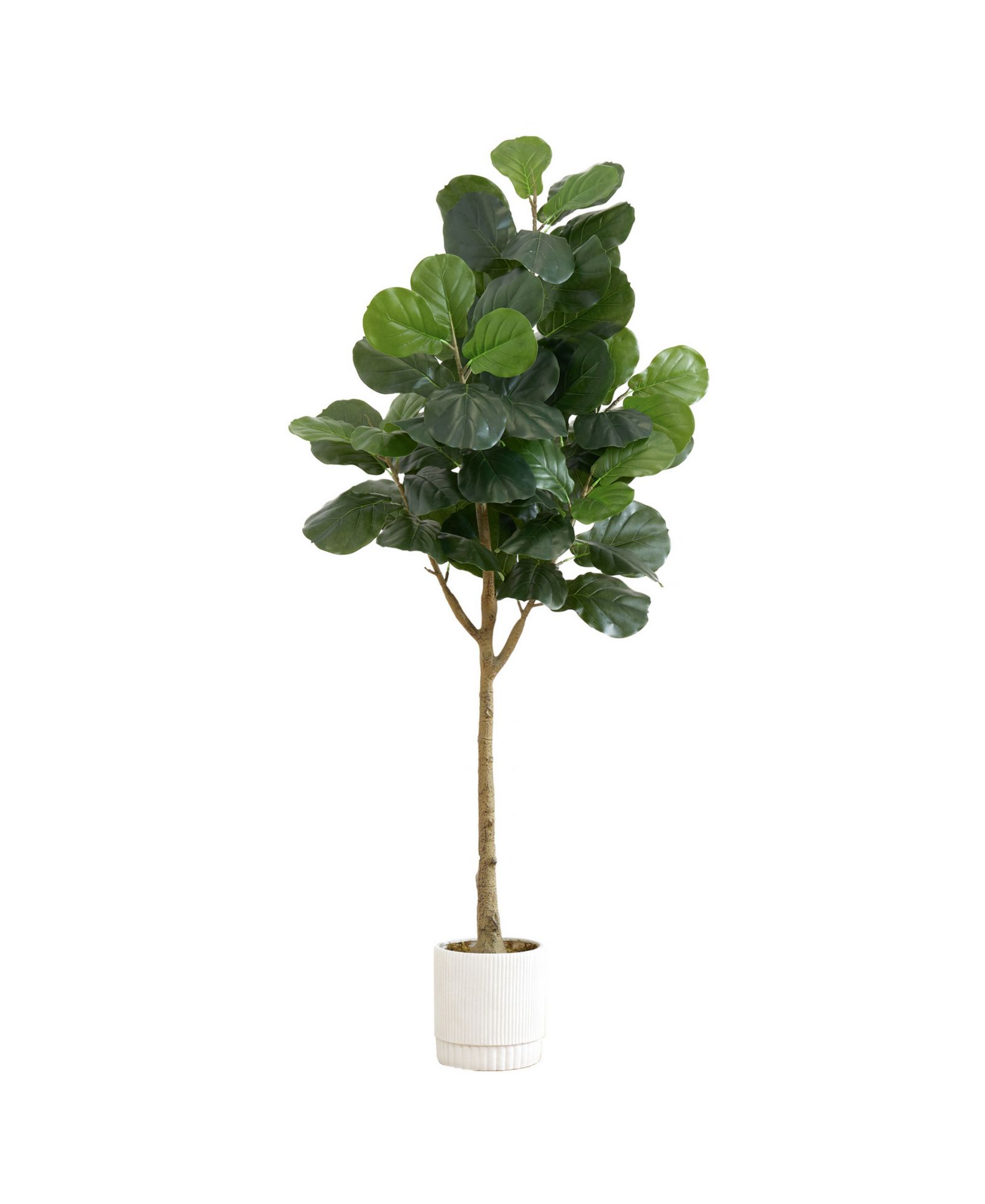 Искусственное дерево Nearly Natural Fiddle Leaf Fig, 72" с кашпо