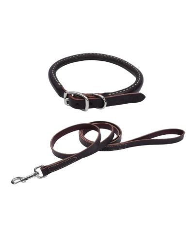 Coastal Pet Circle T by Latigo Leather Twist Dog Leash with Brass Hardware (6') & Latigo Leather Round Dog Collar (3/8" x 18")