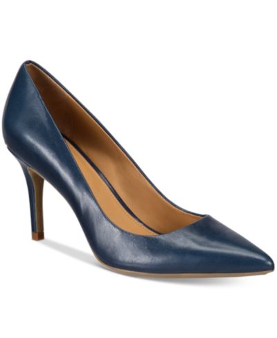 Calvin Klein Women's Gayle Classic Pointed Toe Stiletto Pumps