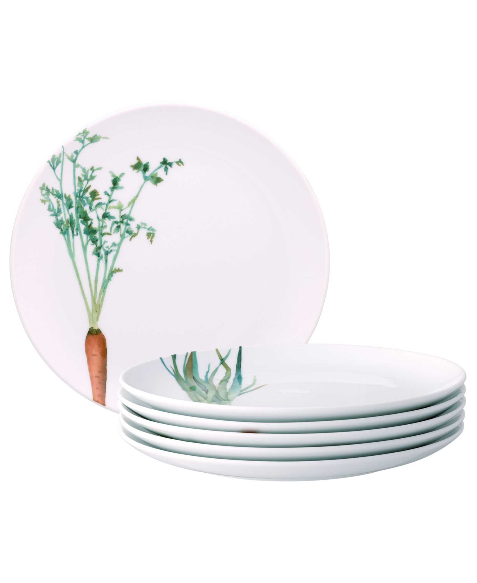 Noritake Kyoka Shunsai Set of 6 Assorted Salad Plates, 9.5"
