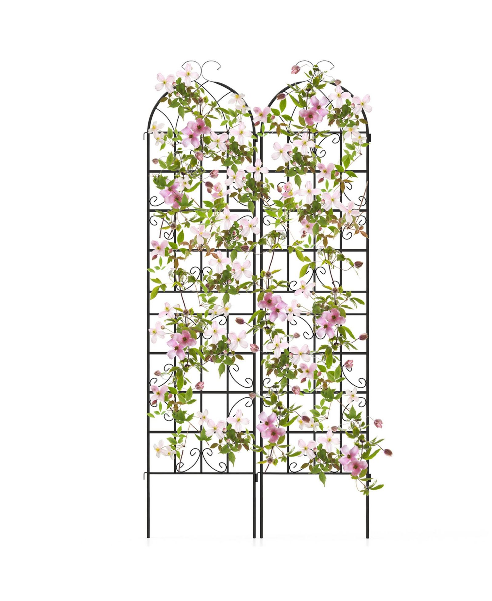 2 Pack 87" x 20" Metal Garden Trellis Decorative Outdoor