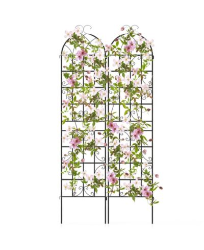 2 Pack 87" x 20" Metal Garden Trellis Decorative Outdoor